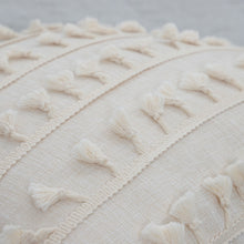 Load image into Gallery viewer, Aria Tasseled Pillow Cover Collection